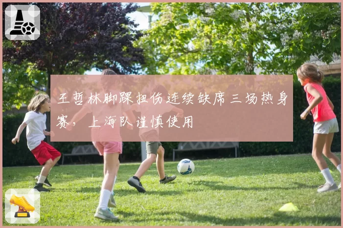 王哲林脚踝扭伤连续缺席三场热身赛,上海队谨慎使用