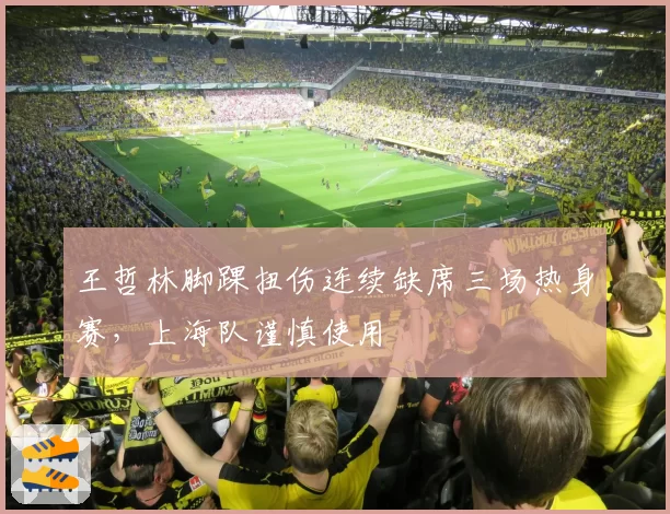 王哲林脚踝扭伤连续缺席三场热身赛，上海队谨慎使用